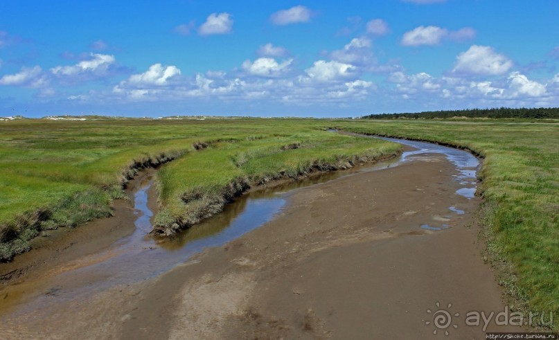 Альбом отзыва "Sankt Peter-Ording — курорт на Ваттовом море (Юнеско №1314)"