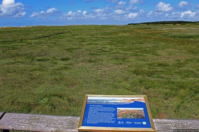 Альбом отзыва "Sankt Peter-Ording — курорт на Ваттовом море (Юнеско №1314)"