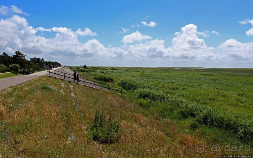 Альбом отзыва "Sankt Peter-Ording — курорт на Ваттовом море (Юнеско №1314)"