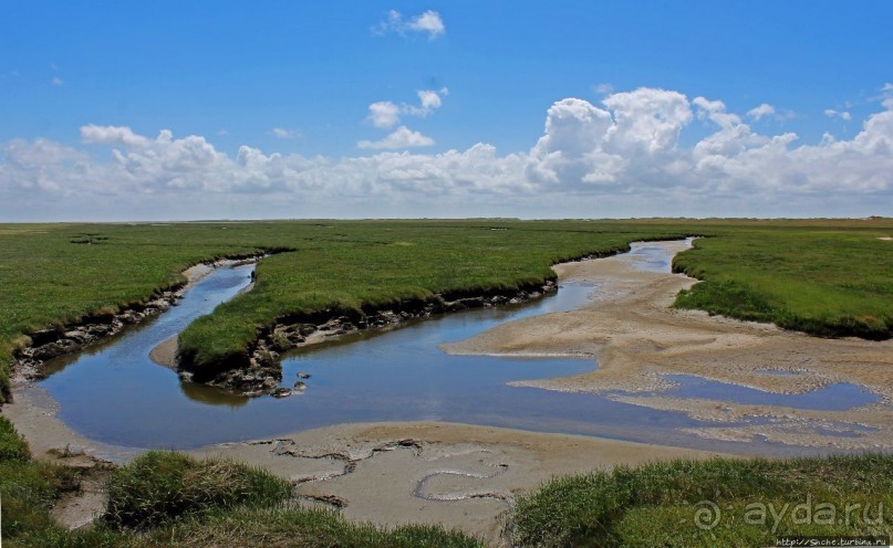 Альбом отзыва "Sankt Peter-Ording — курорт на Ваттовом море (Юнеско №1314)"