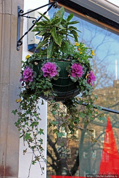 Альбом отзыва "Эдинбург, район "Старый город" (Edinburgh Old Town)"