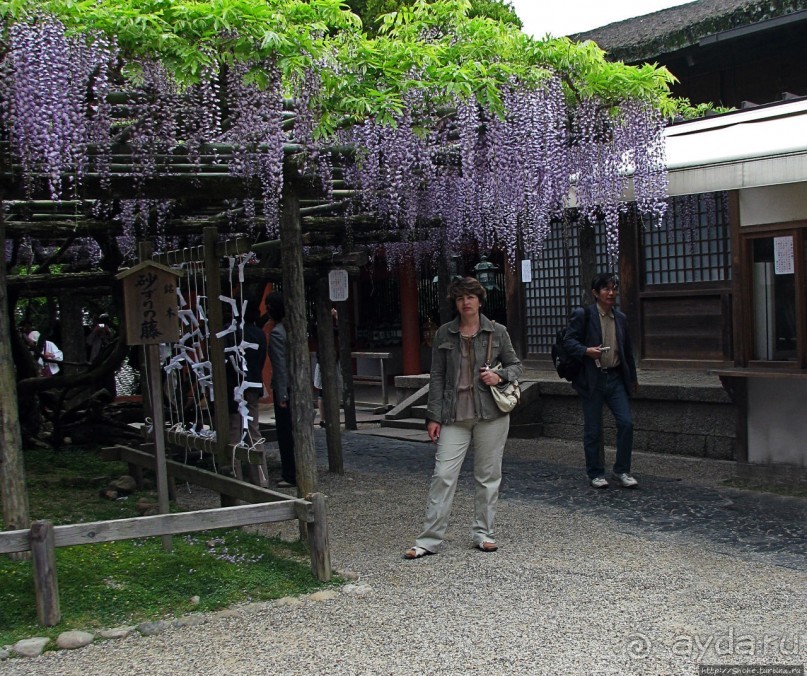 Альбом отзыва "Древние храмы Нары. Kasuga-Taisha (объект ЮНЕСКО 870-003)"