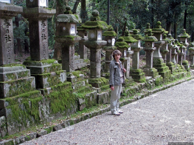 Альбом отзыва "Древние храмы Нары. Kasuga-Taisha (объект ЮНЕСКО 870-003)"