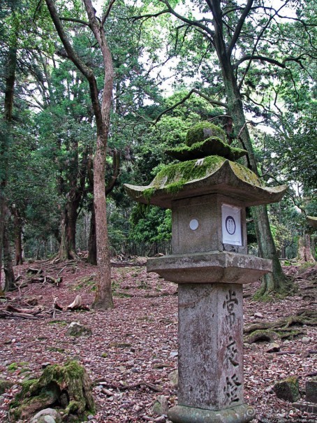 Альбом отзыва "Древние храмы Нары. Kasuga-Taisha (объект ЮНЕСКО 870-003)"