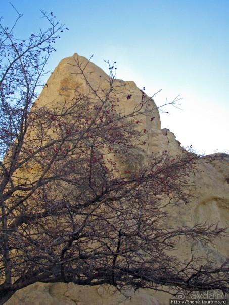 Альбом отзыва "В защиту Goreme Open Air Museum — музея под открытым небом."