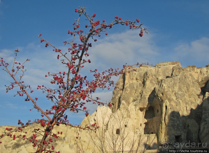 Альбом отзыва "В защиту Goreme Open Air Museum — музея под открытым небом."