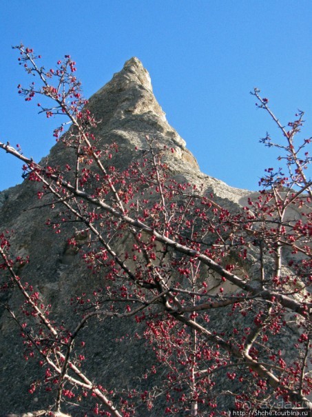 Альбом отзыва "В защиту Goreme Open Air Museum — музея под открытым небом."