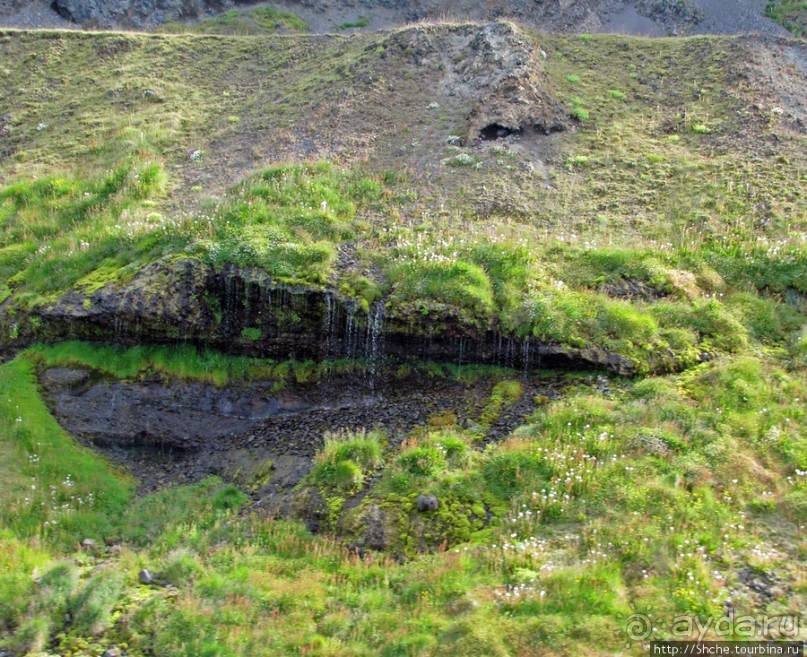 Альбом отзыва "Olafsvik - самый крупный "город" Запада, порт, окрестности"