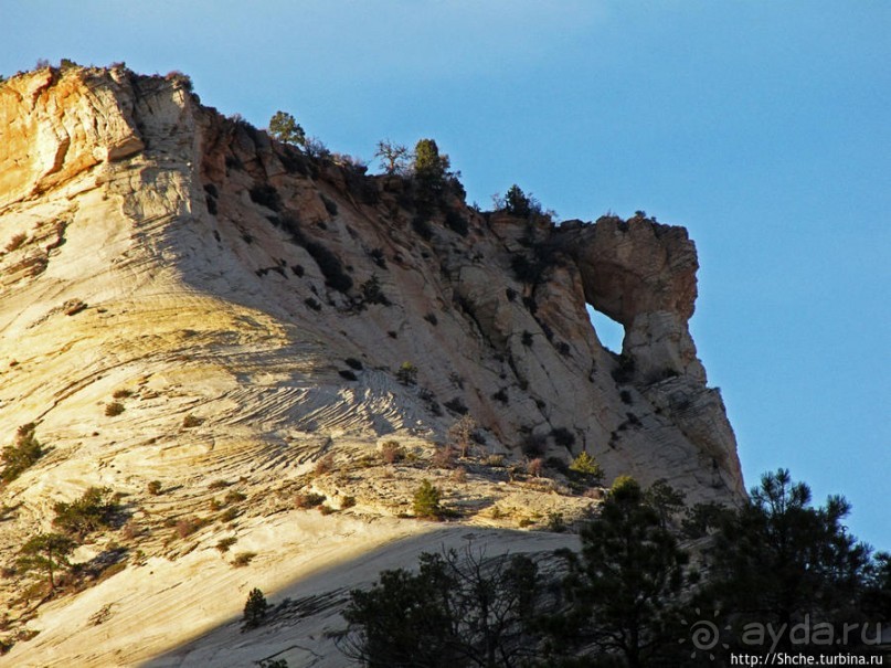 Альбом отзыва "Зион. "Сквозной" маршрут по Zion-Mount Carmel Highway"