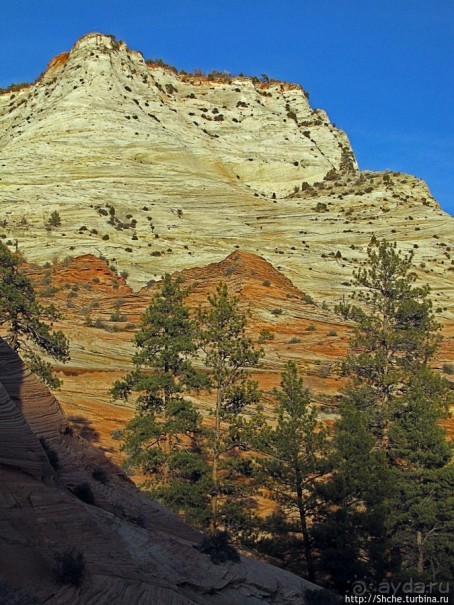 Альбом отзыва "Зион. "Сквозной" маршрут по Zion-Mount Carmel Highway"