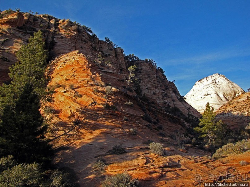 Альбом отзыва "Зион. "Сквозной" маршрут по Zion-Mount Carmel Highway"