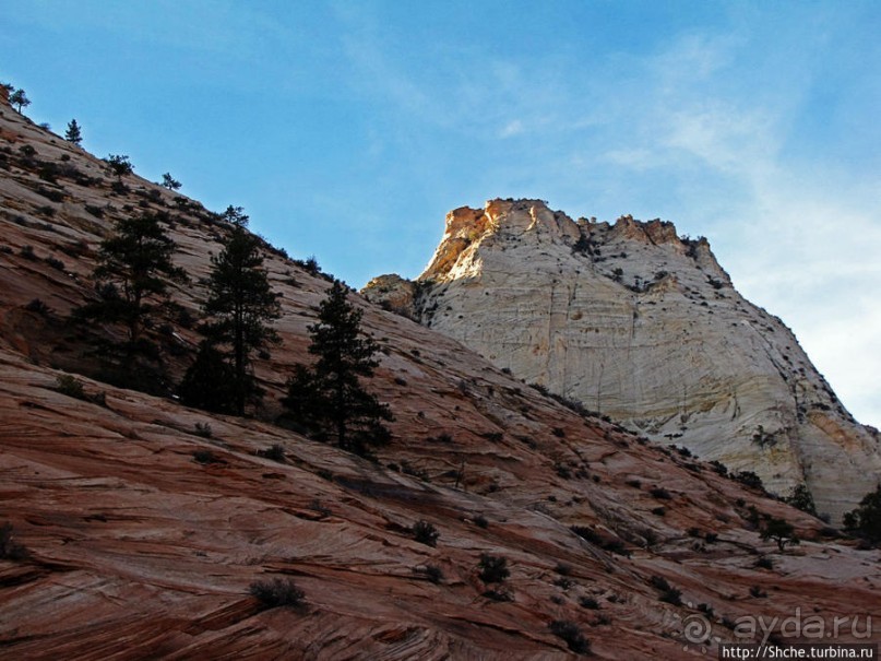 Альбом отзыва "Зион. "Сквозной" маршрут по Zion-Mount Carmel Highway"