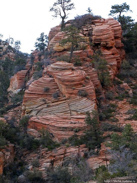 Альбом отзыва "Зион. "Сквозной" маршрут по Zion-Mount Carmel Highway"