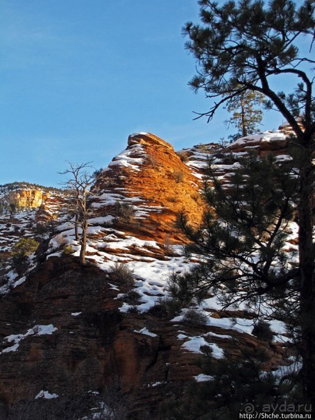 Альбом отзыва "Зион. "Сквозной" маршрут по Zion-Mount Carmel Highway"