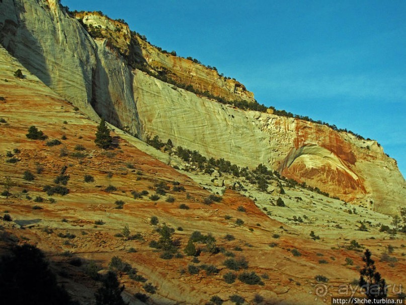 Альбом отзыва "Зион. "Сквозной" маршрут по Zion-Mount Carmel Highway"