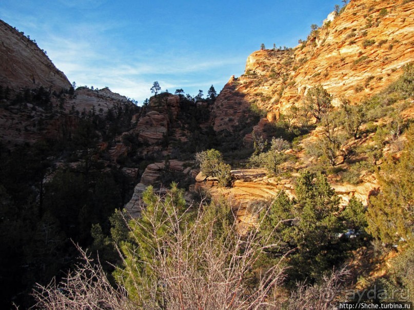 Альбом отзыва "Зион. "Сквозной" маршрут по Zion-Mount Carmel Highway"