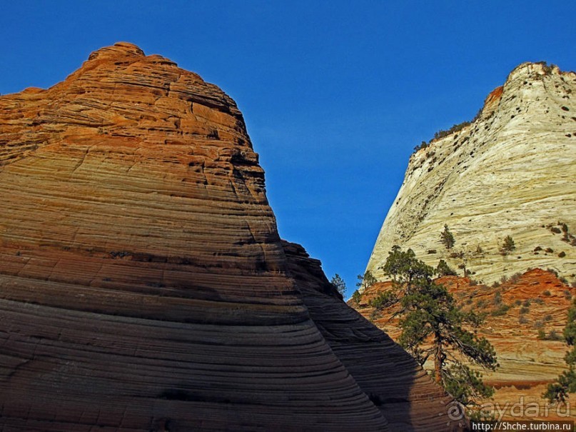 Альбом отзыва "Зион. "Сквозной" маршрут по Zion-Mount Carmel Highway"