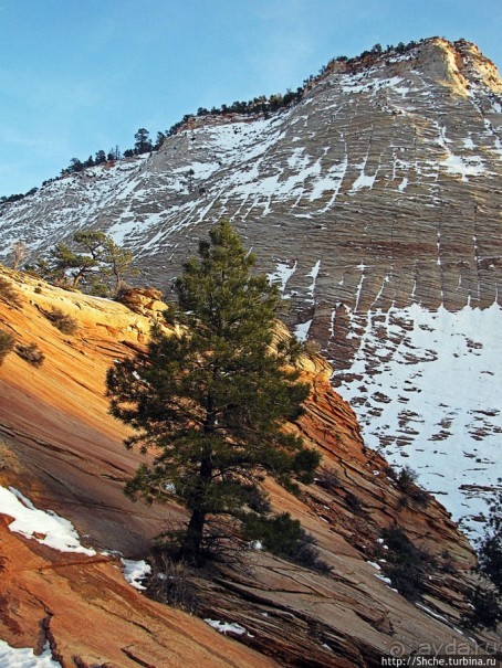 Альбом отзыва "Зион. "Сквозной" маршрут по Zion-Mount Carmel Highway"