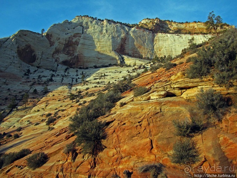 Альбом отзыва "Зион. "Сквозной" маршрут по Zion-Mount Carmel Highway"