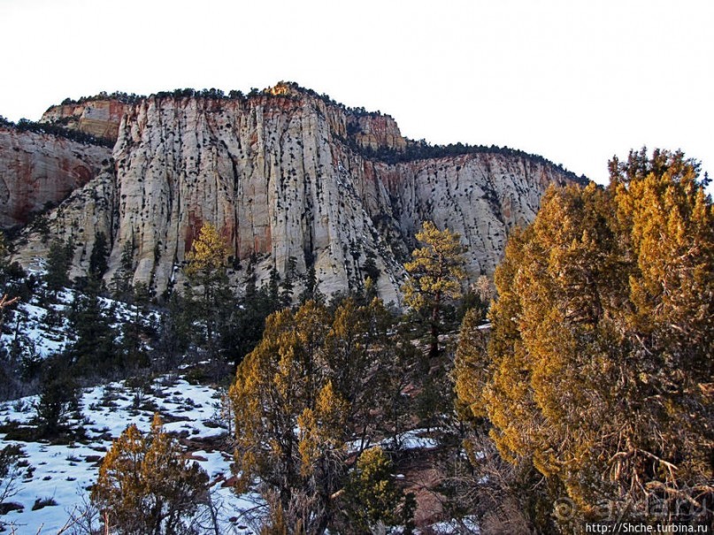 Альбом отзыва "Зион. "Сквозной" маршрут по Zion-Mount Carmel Highway"