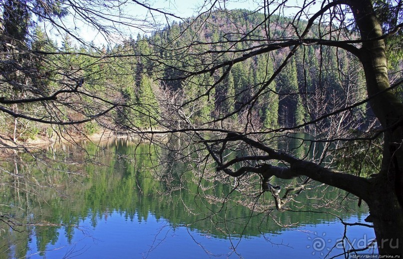 Альбом отзыва "Озеро Синевир — возможно, самое красивое озеро Украины"