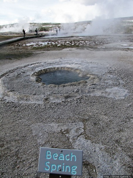 Альбом отзыва "Гейзер "Старый служака" (Old faithful) и чудеса вокруг"