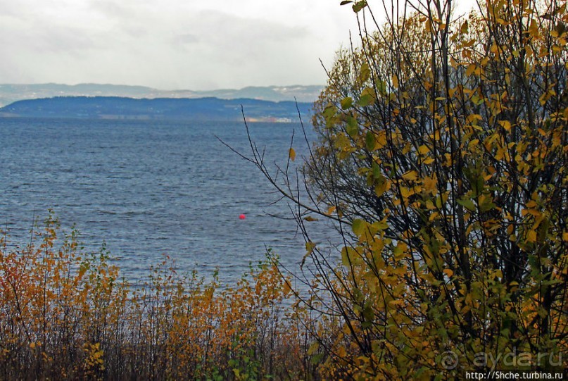 Альбом отзыва "Суровая красота побережья фьерда Strindfjorden"