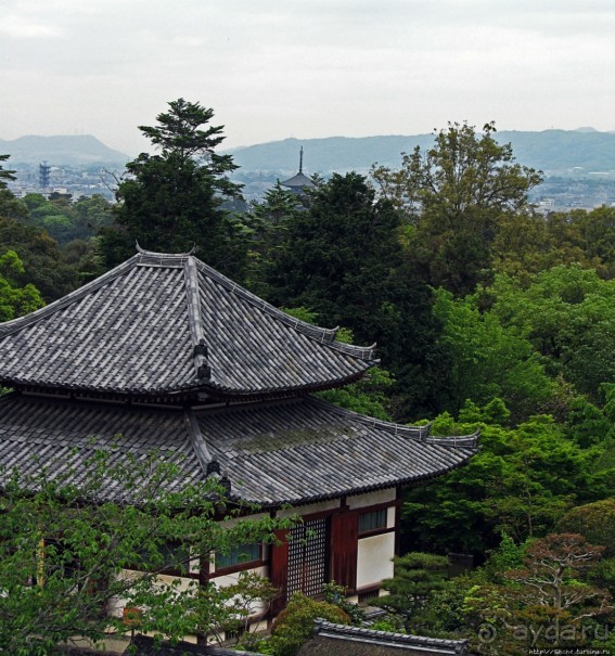 Альбом отзыва "Храмы древней Нары. Todai-ji (объект ЮНЕСКО 870-001)"