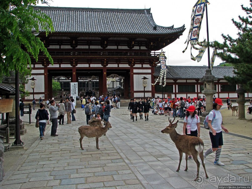 Альбом отзыва "Храмы древней Нары. Todai-ji (объект ЮНЕСКО 870-001)"