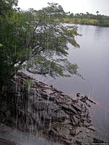 Альбом отзыва "В брюхе у "жабы" ... (под струями водопада Сапо)"