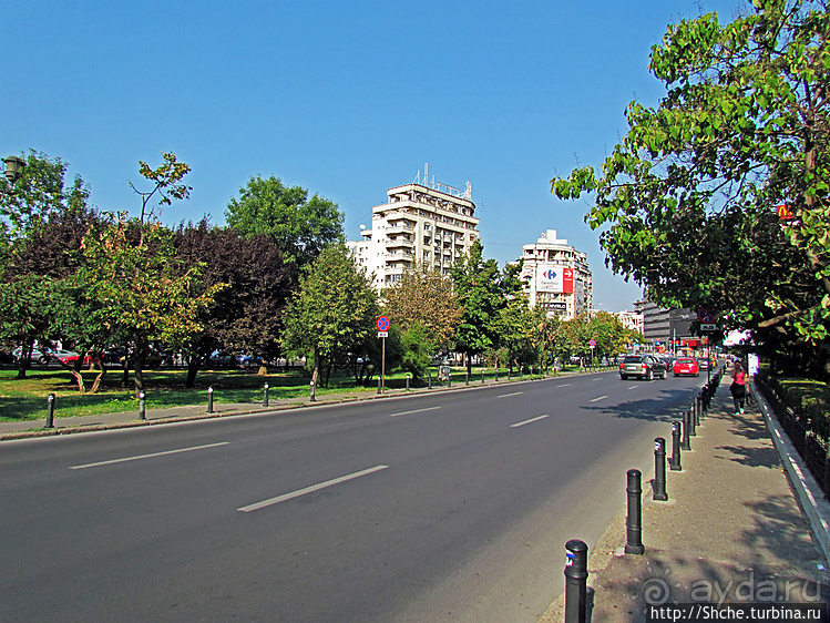 Альбом отзыва "Городские просторы Бухареста"