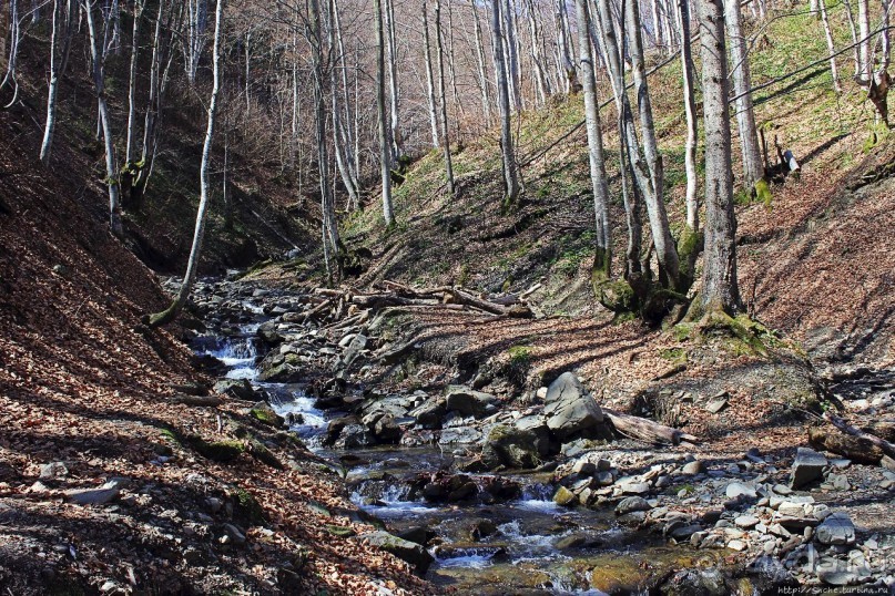 Альбом отзыва "Водопад "Шипіт" — возможно, самый красивый водопад Украины"