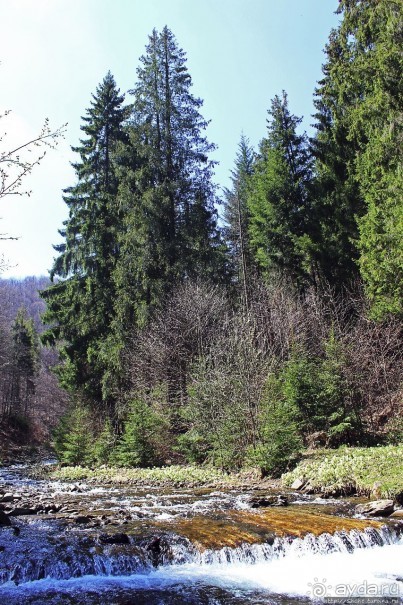 Альбом отзыва "Водопад "Шипіт" — возможно, самый красивый водопад Украины"