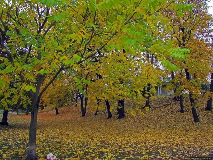 Альбом отзыва "Красивейший городской парк Осло, не "украшенный" Вигеландом"