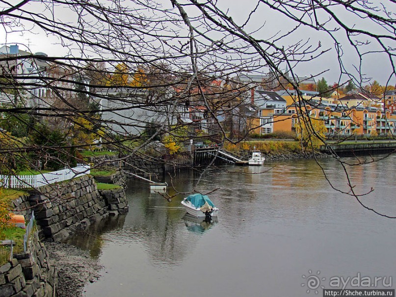 Альбом отзыва "На берегах реки Нидельва (Nidelva)"