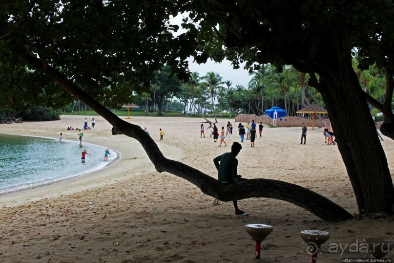 Альбом отзыва "Лучшие пляжи Сентозы. Palawan Beach"