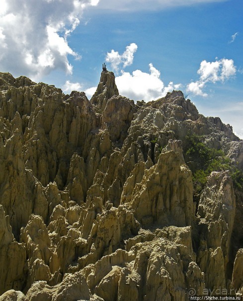 Альбом отзыва "Лунная Долина (Valle de la Luna) в Боливии"