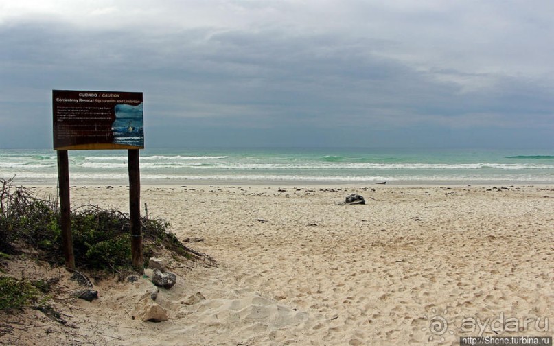 Альбом отзыва "Playa Brava — километр чистейшего песка для морских игуан"