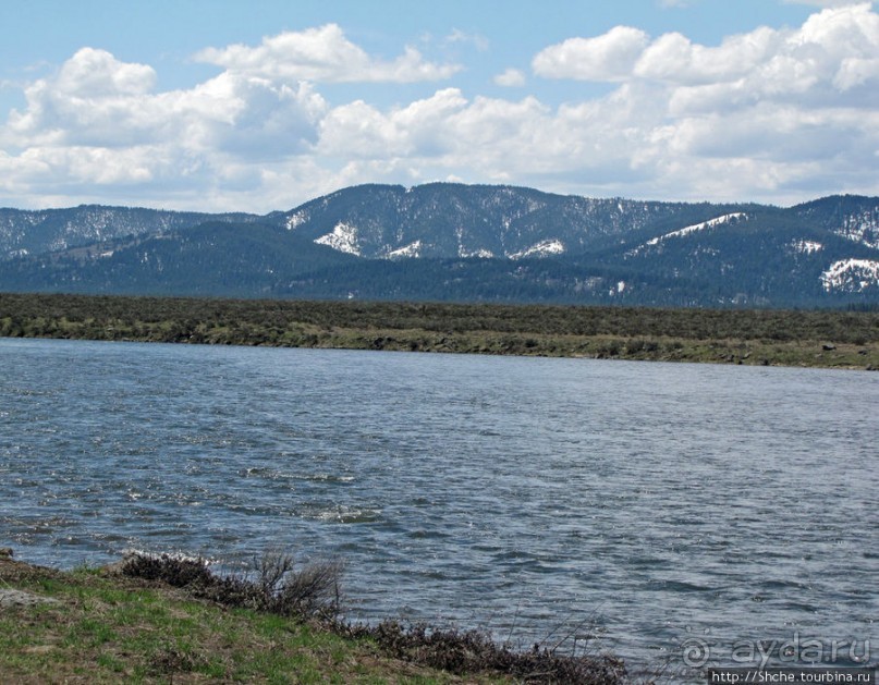 Альбом отзыва "Проезжаем через Targhee National Forest по US 20"