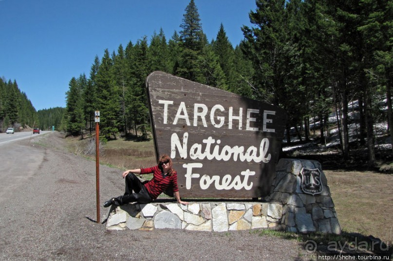 Альбом отзыва "Проезжаем через Targhee National Forest по US 20"