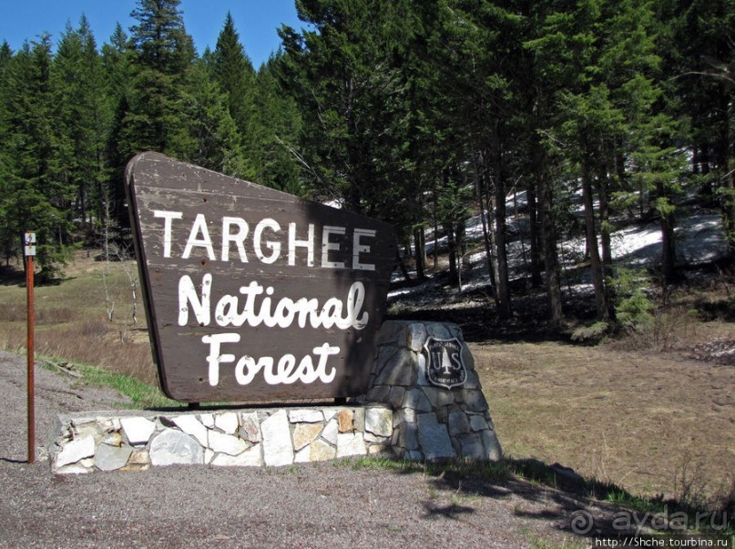 Альбом отзыва "Проезжаем через Targhee National Forest по US 20"