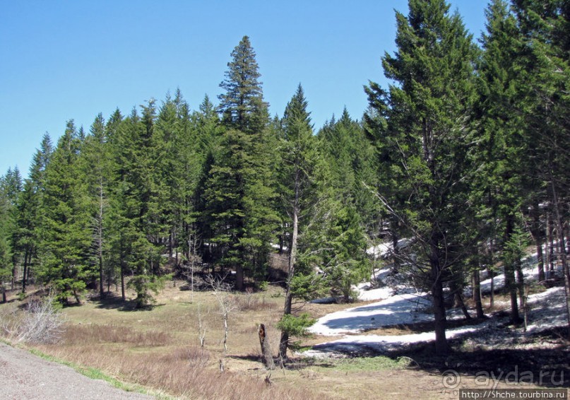 Альбом отзыва "Проезжаем через Targhee National Forest по US 20"