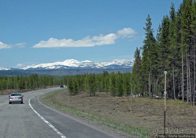 Альбом отзыва "Проезжаем через Targhee National Forest по US 20"