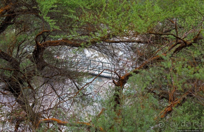 Альбом отзыва ""Священные воды" Wai O Tapu"