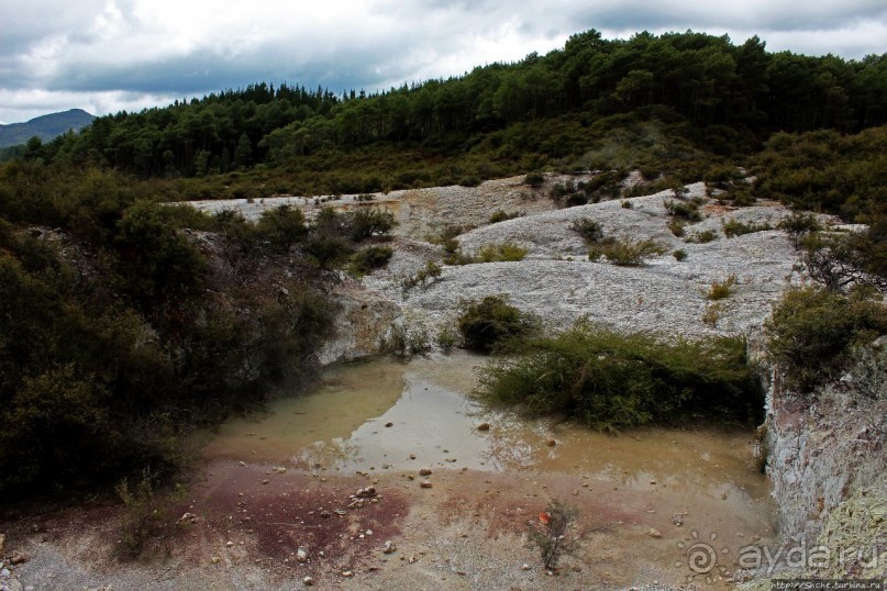 Альбом отзыва ""Священные воды" Wai O Tapu"