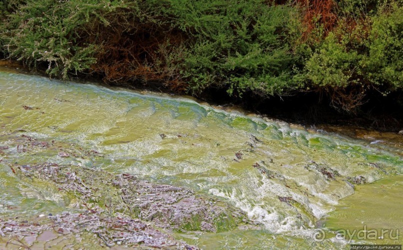 Альбом отзыва ""Священные воды" Wai O Tapu"