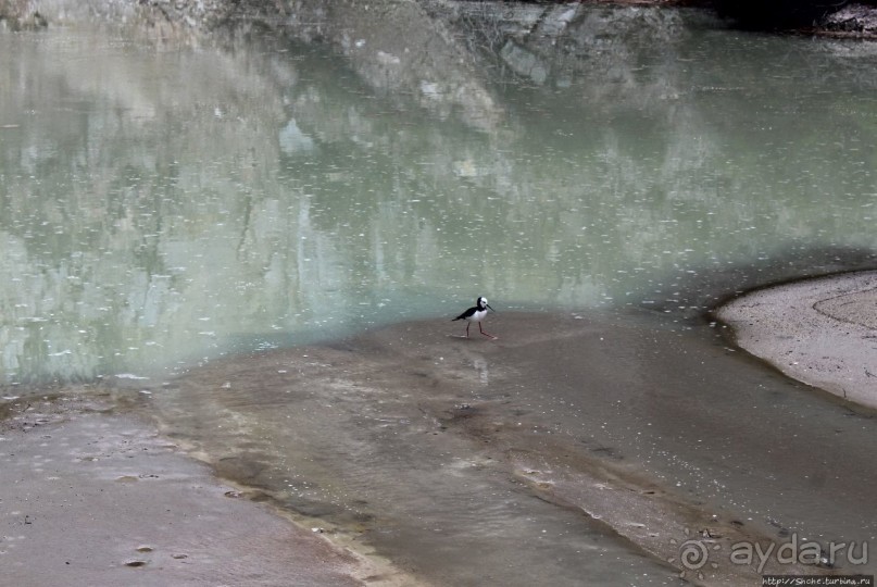 Альбом отзыва ""Священные воды" Wai O Tapu"