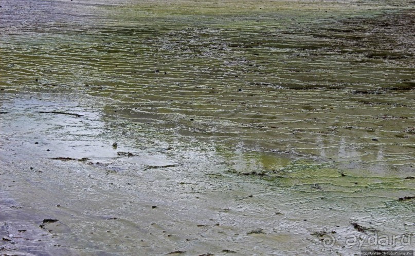 Альбом отзыва ""Священные воды" Wai O Tapu"