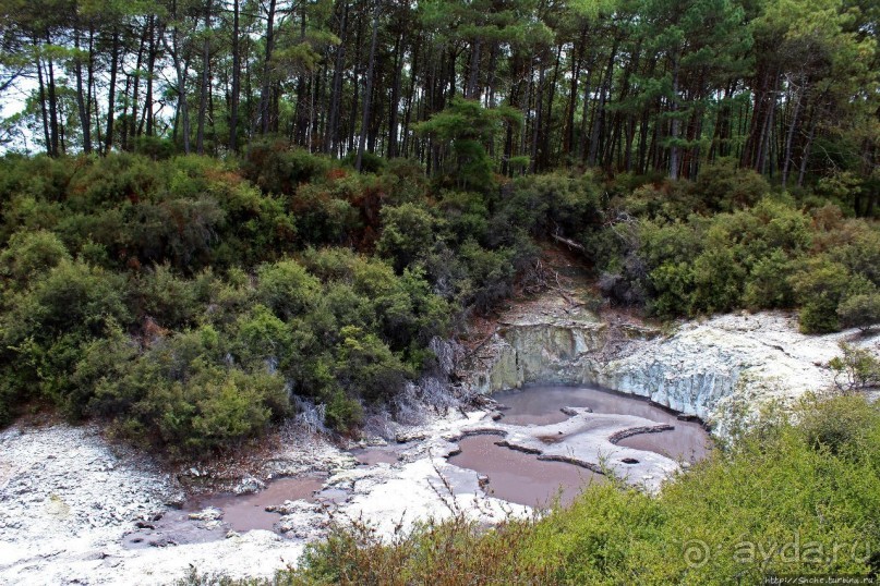 Альбом отзыва ""Священные воды" Wai O Tapu"