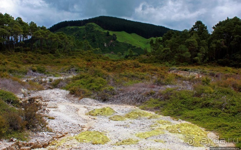 Альбом отзыва ""Священные воды" Wai O Tapu"